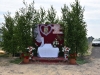 DSC_3794-Copy